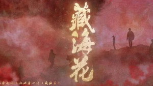 藏海花 kép