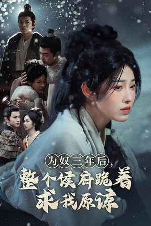 为奴三年后，整个侯府跪着求我原谅 poszter