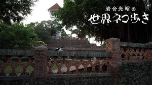 岩合光昭の世界ネコ歩き 1. évad Ep.152 152. epizód