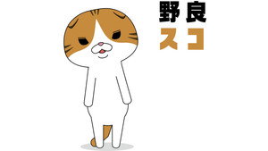 野良スコ kép
