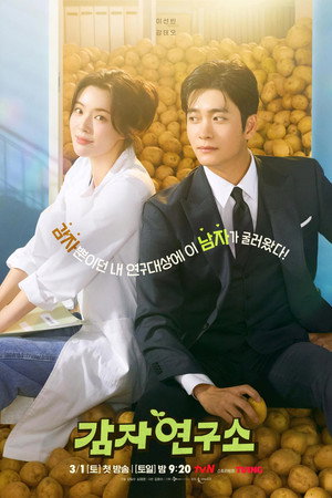 감자연구소 poszter