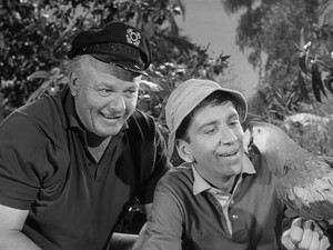 Gilligan's Island 1. évad Ep.27 27. epizód