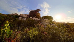 Dinoszauruszok kép