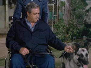 Ironside 6. évad Ep.2 2. epizód