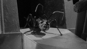 The Outer Limits 1. évad Ep.14 14. epizód