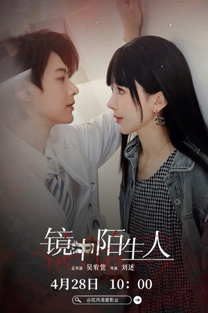 镜中陌生人 poszter