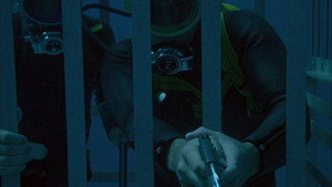 Flipper 1. évad Ep.18 18. epizód