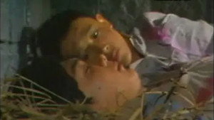 虾球传 kép