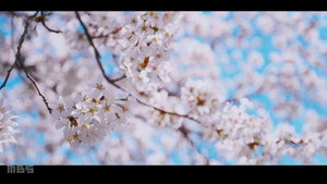 あおざくら防衛大学校物語 1. évad Ep.1 1. epizód