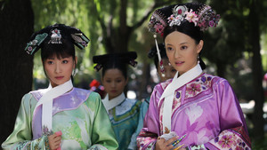 甄嬛传 kép
