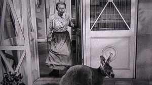 The Beverly Hillbillies 2. évad Ep.16 16. epizód