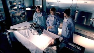 CSI: A helyszínelők 1. évad Ep.21 A törvény nevében