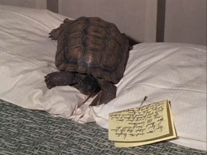 Green Acres 3. évad Ep.8 8. epizód
