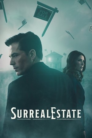 SurrealEstate poszter