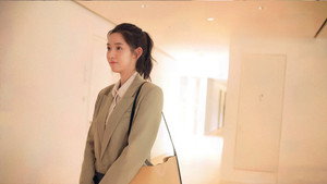 纵有疾风起 kép