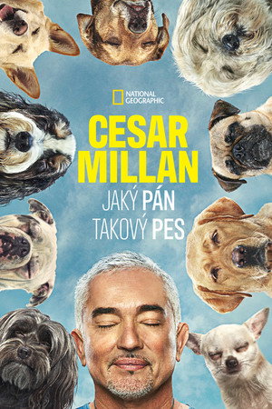 Cesar Millan: Jó gazdi, jó kutya poszter