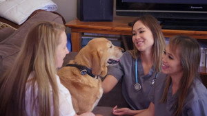 Bondi Vet: Coast to Coast 1. évad Ep.4 4. epizód