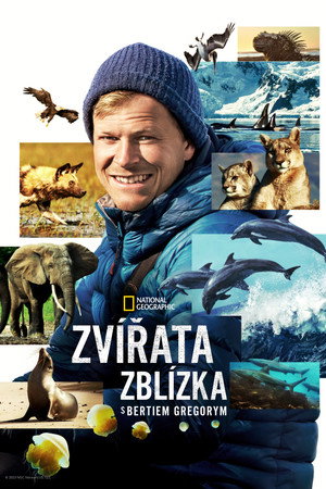 Az állatok világa Bertie Gregoryval poszter