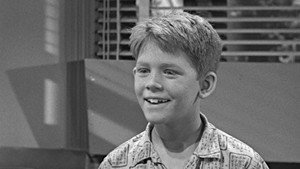 The Andy Griffith Show 5. évad Ep.9 9. epizód