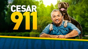Tárcsázza Cesar Millant! kép