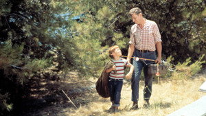 The Andy Griffith Show kép