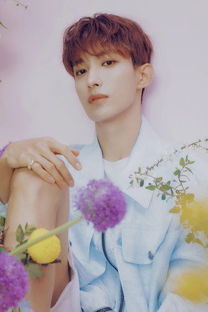 도겸 profil kép