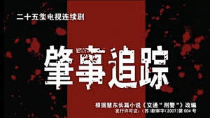 肇事追踪 kép