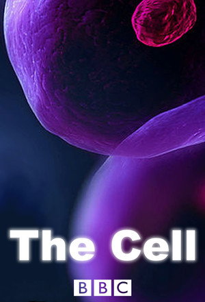 The Cell 1. évad (2009-08-12) poszter