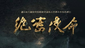 绝密使命 kép