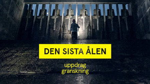 Uppdrag granskning 21. évad Ep.21 21. epizód