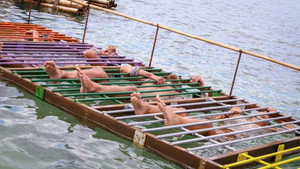 Survivor – A sziget 3. évad - Itt hősök születnek Ep.28 28. epizód