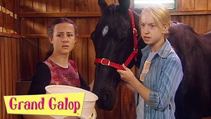 The Saddle Club kép
