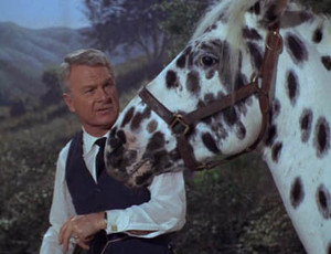 Green Acres 1. évad Ep.29 29. epizód