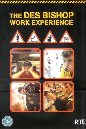 The Des Bishop Work Experience poszter