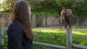 Magic of Disney's Animal Kingdom 2. évad Ep.2 2. epizód
