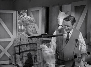 Mister Ed 3. évad Ep.24 24. epizód