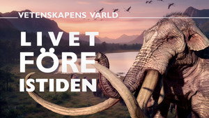 Vetenskapens värld 51. évad Ep.29 29. epizód