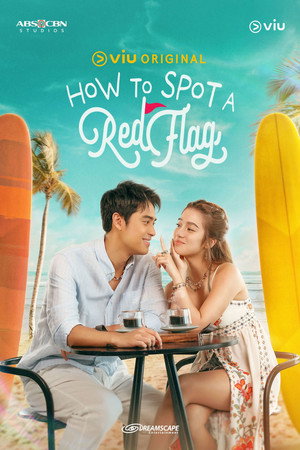 How to Spot a Red Flag 1. évad (2024-11-25) poszter