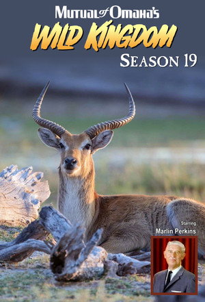 Mutual of Omaha's Wild Kingdom 19. évad (1980-10-12) poszter