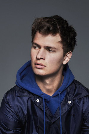Ansel Elgort profil kép