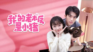 我的老板是小猪 kép