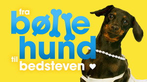 Fra bølle til bestevenn kép