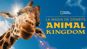 Magic of Disney's Animal Kingdom kép