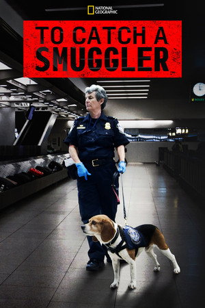 Drogfogások a repülőtéren poszter