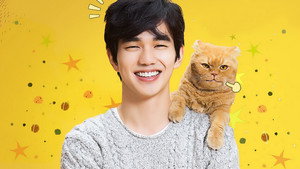 상상고양이 kép