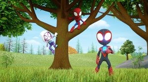 Marvel: Póki és csodálatos barátai 1. évad Ep.13 Kempingpánik