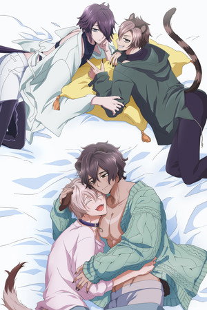 森のくまさん、冬眠中。 poszter