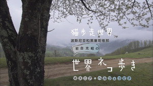 岩合光昭の世界ネコ歩き 1. évad Ep.53 53. epizód