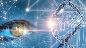 The Gene Code kép