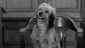 Petticoat Junction 2. évad Ep.31 31. epizód